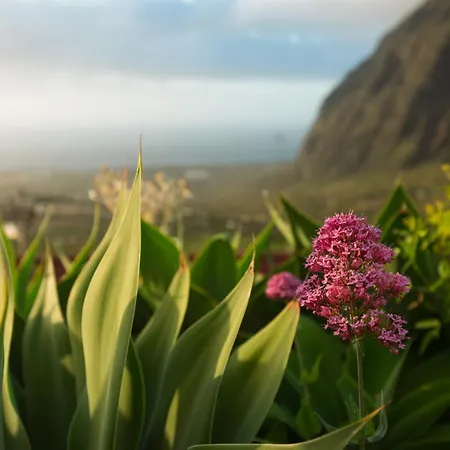 El Sitio Appartement