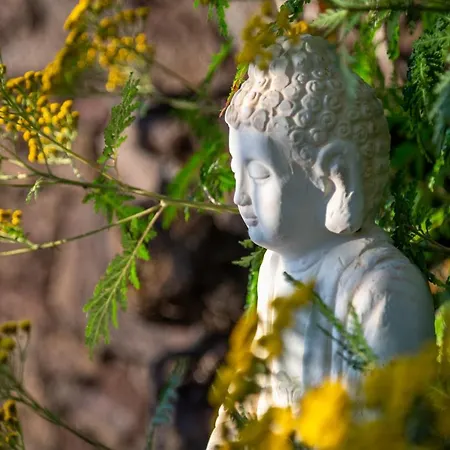 El Sitio Διαμέρισμα Φροντέρα