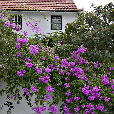 El Sitio Apartment