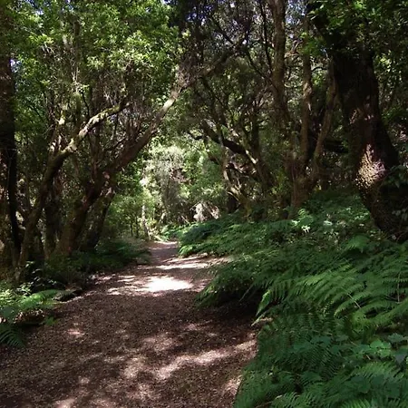 Διαμέρισμα El Sitio *