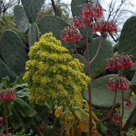 El Sitio 아파트 *