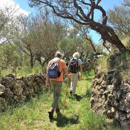 Διαμέρισμα El Sitio