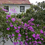 El Sitio Lejlighed