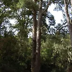 El Sitio