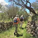 Lejlighed El Sitio