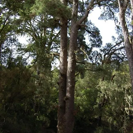 El Sitio